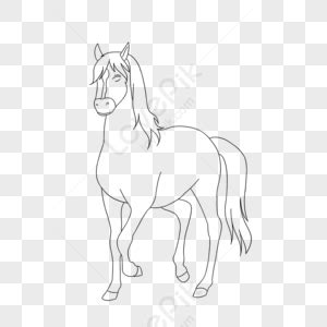kabayo clipart|Kabayo Clipart Itim At Puti,sketch Ng Kabayo,kabayo.
